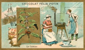 Caffè da French School