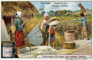 Corea: raccolta del riso, tessitura e trebbiatura - cromolitografia Liébig, ca. 1900 da French School