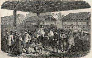 Grido della carne da macelleria al mercato di rue des Prouvaires nel I arrondissement di Parigi - Incisione in "Tableau-de-Paris" di Edmond Texier 1852 da French School