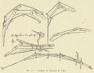 Schizzo di Leonardo da Vinci da French School