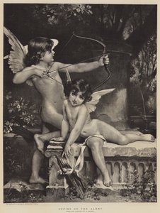Cupidi all
