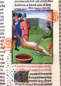 Taglio delle gambe di un cervo morto, dal Livre de la Chasse di Gaston Phebus de Foix (1331-91) da French School