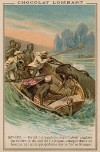 La barca di David Livingstone attaccata da un ippopotamo sul fiume Orange, Africa, 1867-1873 da French School