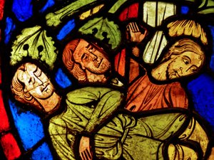 San Martino e il miracolo del Pino