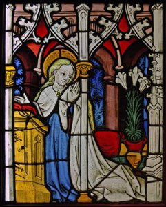 La Vergine Maria all