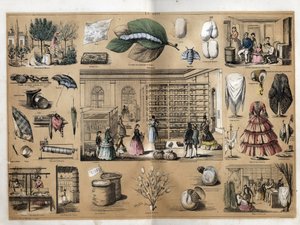 Descrizione della cultura e dei prodotti della seta: al centro il magnete e la sericoltura. Rappresentazione della fabbricazione della seta dalla piantagione dei muri, l
