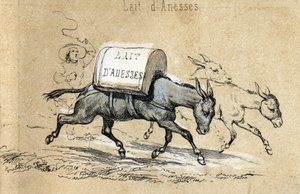 Descrizione dei diversi prodotti e usi dell