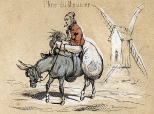 Descrizione dei diversi prodotti e usi dell