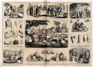 Descrizione dei vari usi e prodotti della pecora: tosatura delle pecore, agnello pasquale servito come piatto tradizionale a Pasqua, giovani lattai che fanno burro e formaggi; arazzi e prodotti di lana, tazze, pantofole, calze di lana, venduti in negozi di