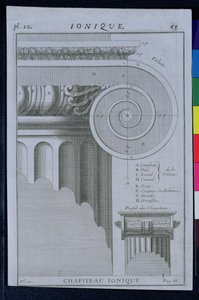 Progetto per il capitello di una colonna ionica