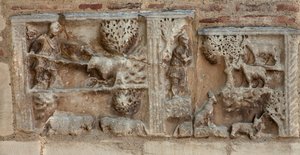 (dettaglio)