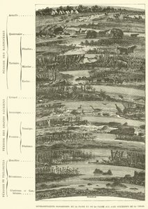 Sviluppi progressivi della flora e della fauna nelle epoche successive della terra da French School