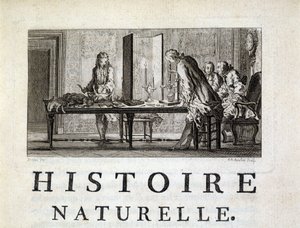 Dissezione degli animali - in "Storia naturale, generale e particolare" di Buffon da French School