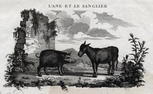 Asino e cinghiale. Favola di Esopo. (scrittore greco Esopo, VI secolo a.C.) Scritta da Guillaume Montfort e incisa da Beauble nel 1801 da French School