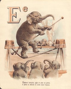 E: Elefante, equilibrista intrepido elefante, agile e pieno di grazia, rilassa appena la corda nello spazio da French School