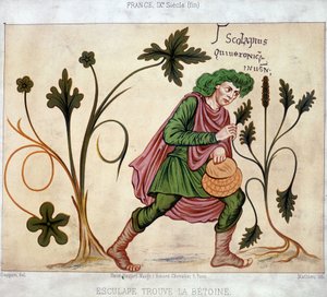 Esculapio trova il betoneum (pianta medicinale) da French School