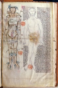 La relazione tra il corpo umano e i segni dello zodiaco, da un trattato medico di Abul Qasim Khalaf ibn al-Abbas al-Zahrawi (Abulcasis) (936-1013) tradotto da Gerard de Cremone da French School