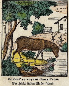 Favole di La Fontaine: il cervo che si vede nell