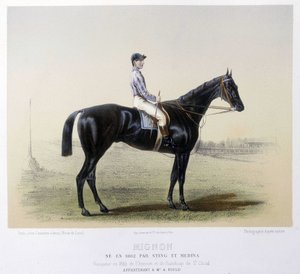 Cavallo da corsa famoso - in 