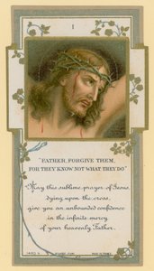 Padre, perdonali perché non sanno quello che fanno