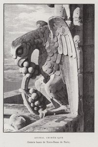 Figura di un animale chimerico, dalla galleria superiore di Notre Dame de Paris da French School