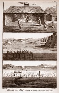 Pesca, aringhe e sardine - "La Grande Encyclopedie, ou Dictionnaire Raisonne des Sciences, des Arts et des Metiers" di Deni