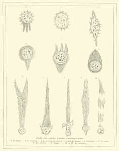 Forme delle comete secondo lo storico Plinio (incisione) da French School