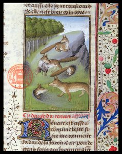 Volpi, dal Livre de la Chasse di Gaston Phebus da French School
