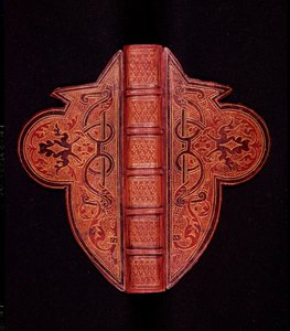 Copertina di un Libro d