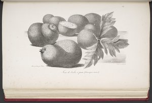Frutta, da Voyage pittoresque autour du monde, avec des portraits de sauvages d