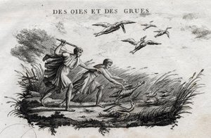 Oche e gru - Favola di Esopo (scrittore greco Esopo, VI secolo a.C.) Scritta da Guillaume Montfort e incisa da Beauble nel 1801 da French School