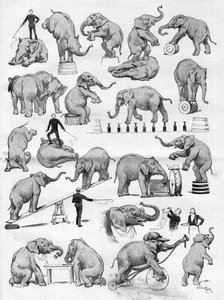 Il circo di Geo Lockart famoso per i suoi elefanti al Hippodrome de Paris, in Le Monde Illustré da French School