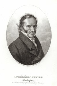 Georges Cuvier da French School