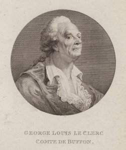 Georges-Louis Leclerc, Conte di Buffon, naturalista francese da French School