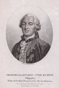 Georges-Louis Leclerc, Conte di Buffon, scienziato e scrittore francese (incisione) da French School