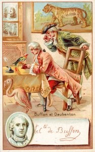 Georges-Louis Leclerc, Conte di Buffon, e Louis-Jean-Marie Daubenton, naturalisti francesi da French School