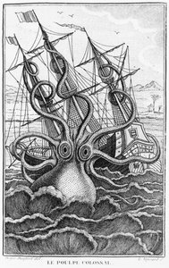 Polpo gigante, illustrazione da LHistoire Naturelle Generale et Particuliere des Mollusques di Denys-Montfort, c. 1802-03 da French School
