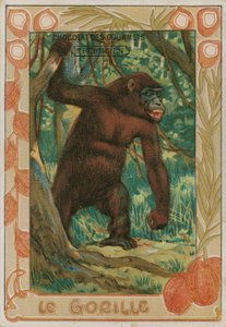 Gorilla da French School