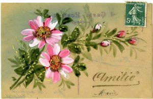 Saluti con pianta floreale. Cartolina d