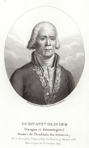 Guillaume Antoine Olivier da French School