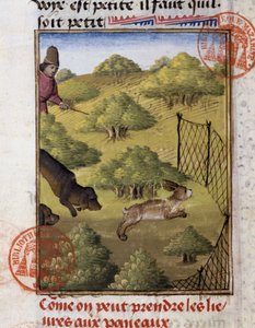 Caccia alla lepre - nel "Libro di Caccia di Gaston Phoebus, Conte di Foix, Signore di Béarn"