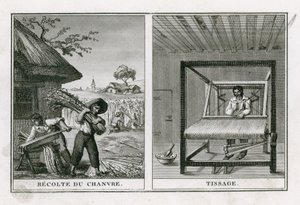 Raccolta e tessitura della canapa da French School