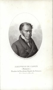 Henri Cassini da French School