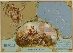 Ercole