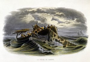 Pesca dell