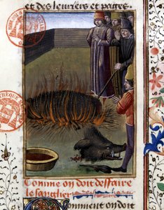 Come scuoiare un cinghiale - in “Libro di caccia di Gaston Phoebus, Conte di Foix, Signore di Béarn”