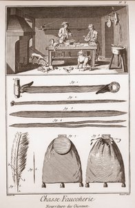 Caccia - Falconeria - Alimentazione degli uccelli - Incisione di Benard da Goussier - "La Grande Enciclopedia, ou Dizionario Ragionato delle Scienze, delle Arti e dei Mestieri" (Enciclopedia o Dizionario delle Scienze, Arti e Professioni) di Denis Diderot  da French School