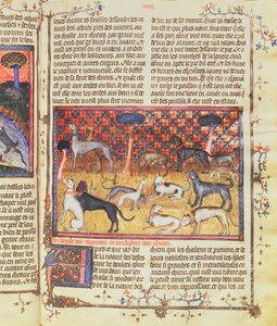 Cani da caccia di Gaston III, Conte di Foix Phebus le Chasseur (1331-91), da Livre de la Chasse, 1387-89 da French School