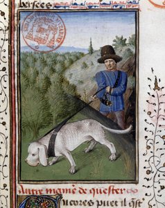 Cane da caccia tenuto al guinzaglio - in 
