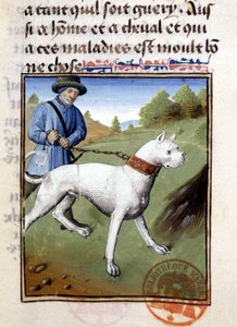 Cane da caccia tenuto al guinzaglio - nel "Libro di Caccia di Gaston Phoebus, Conte di Foix, Signore di Béarn" da French School